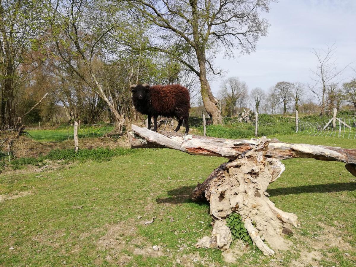 Gite De La Motte Litteau ภายนอก รูปภาพ